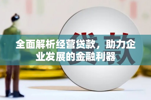 细河全面解析经营贷款，助力企业发展的金融利器