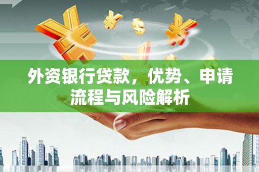 细河外资银行贷款，优势、申请流程与风险解析
