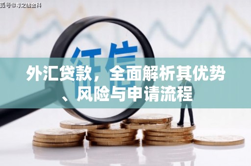 细河外汇贷款，全面解析其优势、风险与申请流程