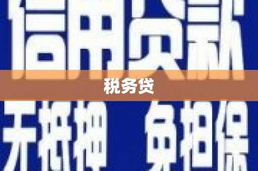 细河税务贷