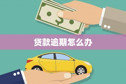 细河贷款逾期怎么办