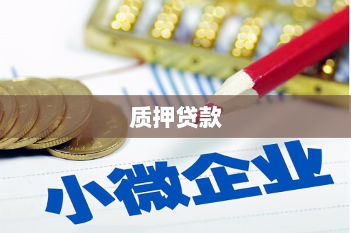 细河质押贷款