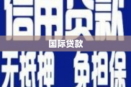 细河国际贷款