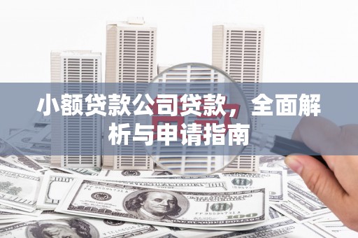 细河小额贷款公司贷款，全面解析与申请指南