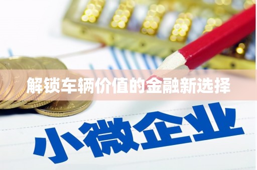细河解锁车辆价值的金融新选择