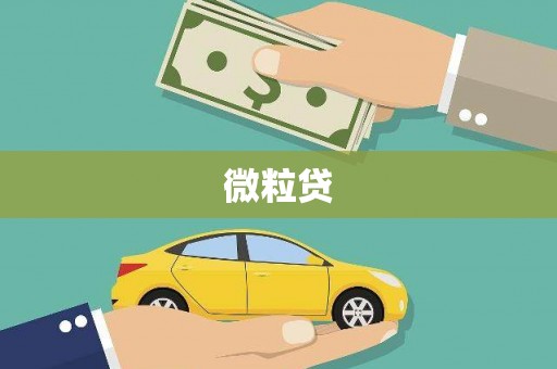 细河微粒贷