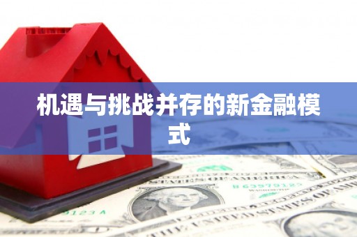 细河机遇与挑战并存的新金融模式