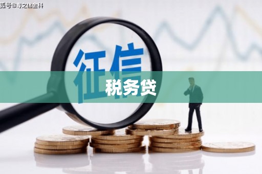 细河税务贷