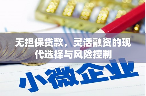 细河无担保贷款，灵活融资的现代选择与风险控制