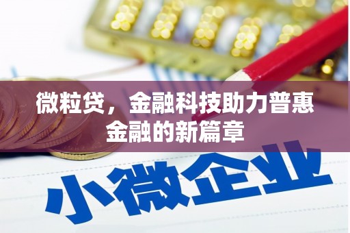 细河微粒贷，金融科技助力普惠金融的新篇章