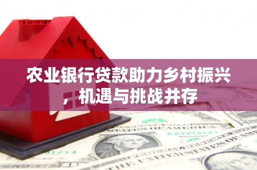 细河农业银行贷款助力乡村振兴，机遇与挑战并存