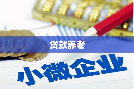 细河贷款养老