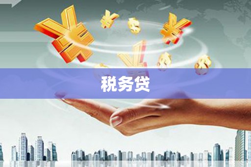 细河税务贷