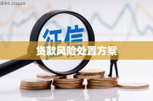 细河贷款风险处置方案