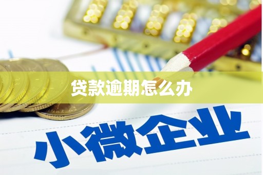 细河贷款逾期怎么办