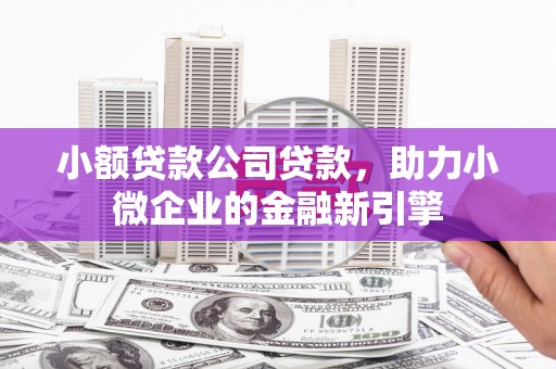 细河小额贷款公司贷款，助力小微企业的金融新引擎