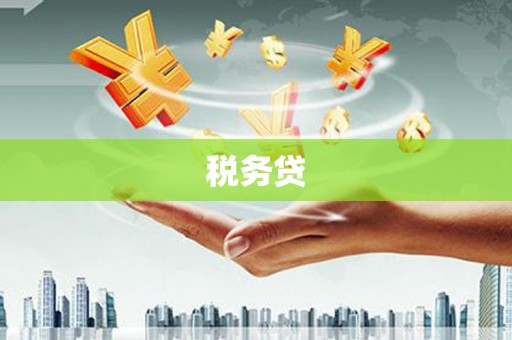 细河税务贷