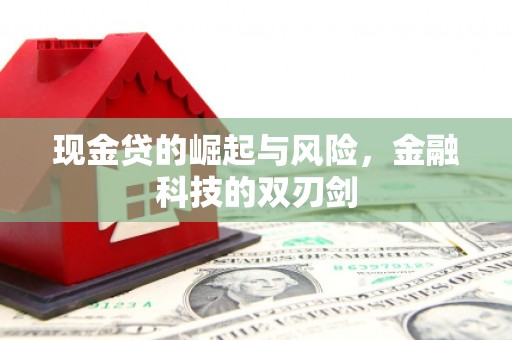细河现金贷的崛起与风险，金融科技的双刃剑