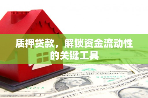 细河质押贷款，解锁资金流动性的关键工具