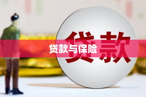 细河贷款与保险