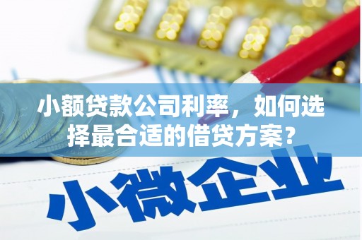 细河小额贷款公司利率，如何选择最合适的借贷方案？