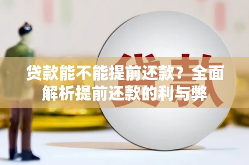 细河贷款能不能提前还款？全面解析提前还款的利与弊