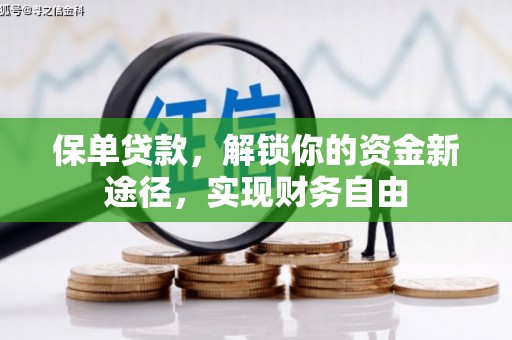 细河保单贷款，解锁你的资金新途径，实现财务自由