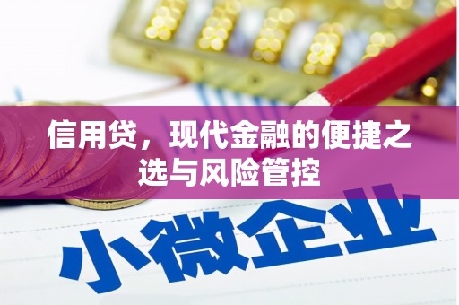 细河信用贷，现代金融的便捷之选与风险管控
