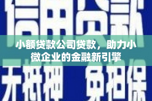 细河小额贷款公司贷款，助力小微企业的金融新引擎