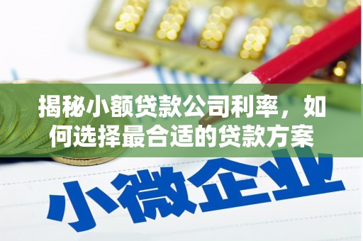 细河揭秘小额贷款公司利率，如何选择最合适的贷款方案