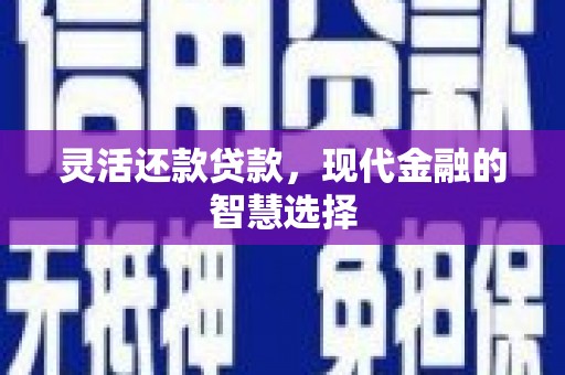 细河灵活还款贷款，现代金融的智慧选择