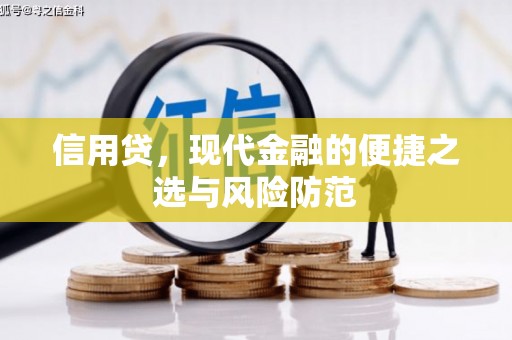细河信用贷，现代金融的便捷之选与风险防范