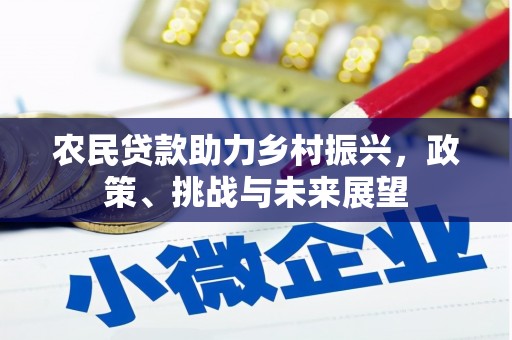 细河农民贷款助力乡村振兴，政策、挑战与未来展望