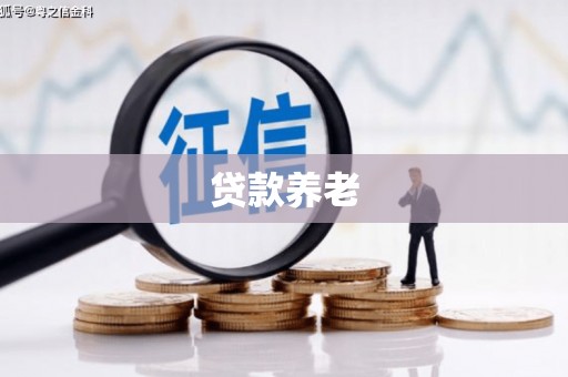 细河贷款养老
