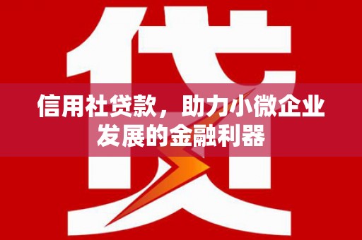 细河信用社贷款，助力小微企业发展的金融利器