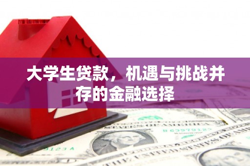 细河大学生贷款，机遇与挑战并存的金融选择