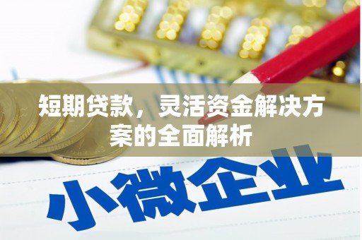 细河短期贷款，灵活资金解决方案的全面解析