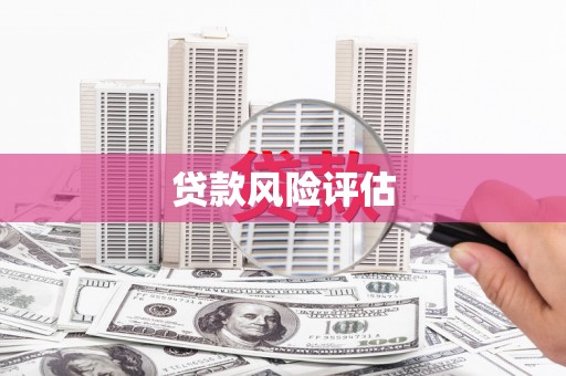 细河贷款风险评估