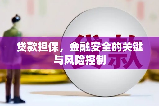 细河贷款担保，金融安全的关键与风险控制