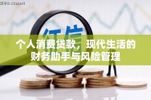 细河个人消费贷款，现代生活的财务助手与风险管理