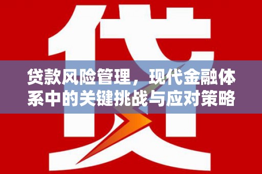 细河贷款风险管理，现代金融体系中的关键挑战与应对策略