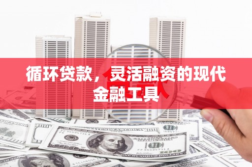 细河循环贷款，灵活融资的现代金融工具