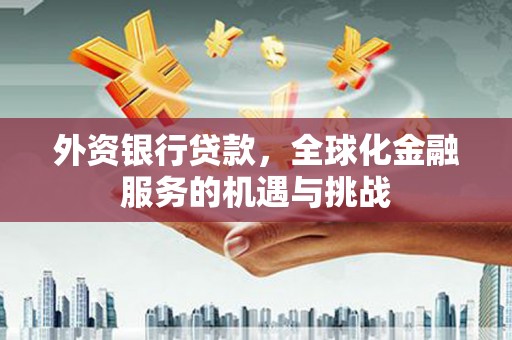 细河外资银行贷款，全球化金融服务的机遇与挑战