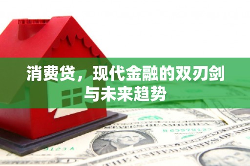 细河消费贷，现代金融的双刃剑与未来趋势