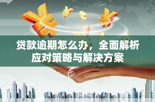 细河贷款逾期怎么办，全面解析应对策略与解决方案